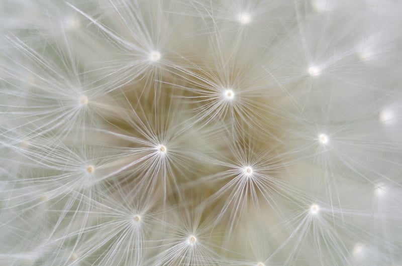 Mindfulness Image